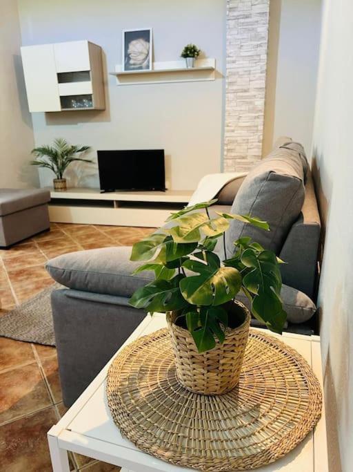 Apartamento Casa El Pino B Vera de Erque Exterior foto